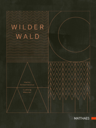 Kniha Wilder Wald Ludwig Maurer