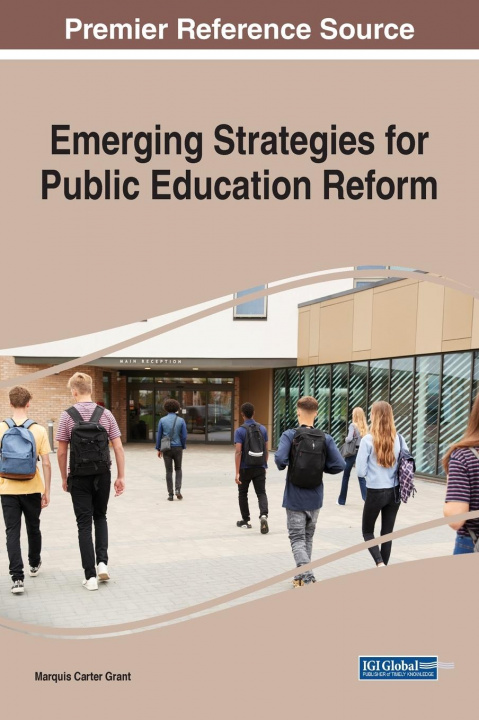 Kniha Emerging Strategies for Public Education Reform 