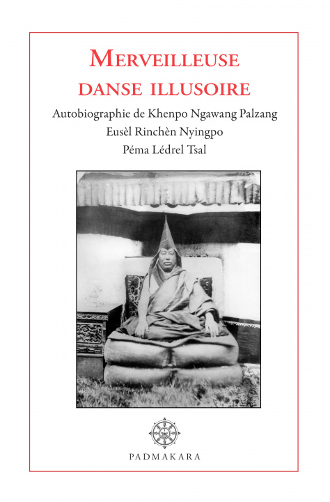 Kniha MERVEILLEUSE DANSE ILLUSOIRE Khenpo Ngawang Palzang