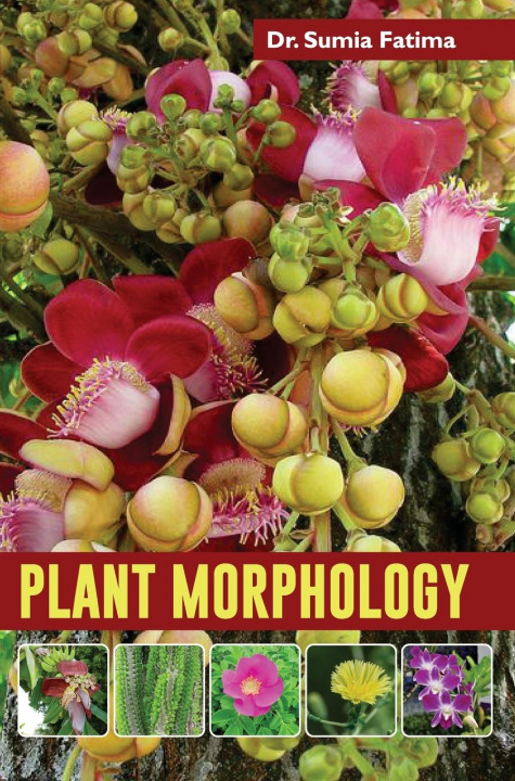 Книга Plant Morphology 