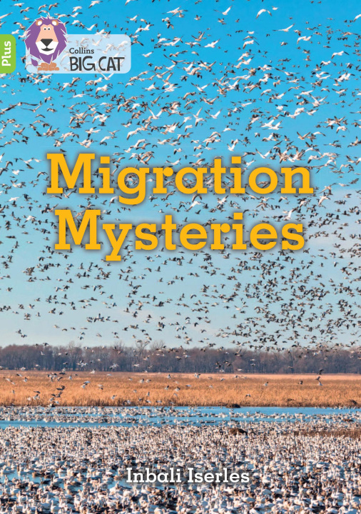 Knjiga Migration Mysteries Inbali Iserles