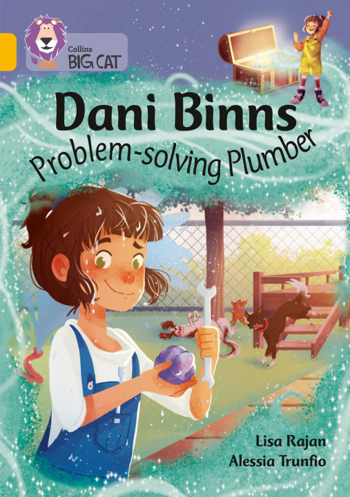 Knjiga Dani Binns: Problem-solving Plumber Lisa Rajan