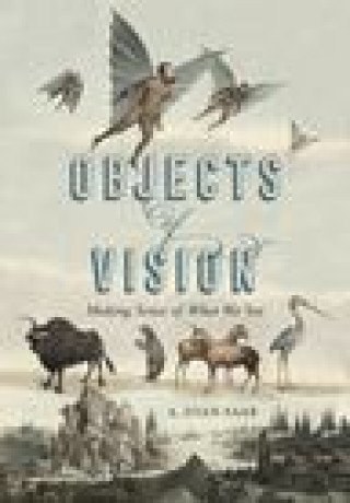 Buch Objects of Vision Saab