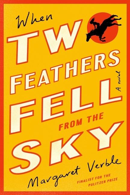 Kniha When Two Feathers Fell from the Sky Verble