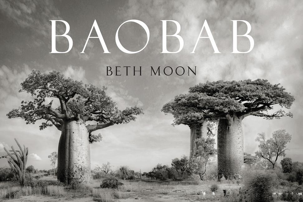 Könyv Baobab 