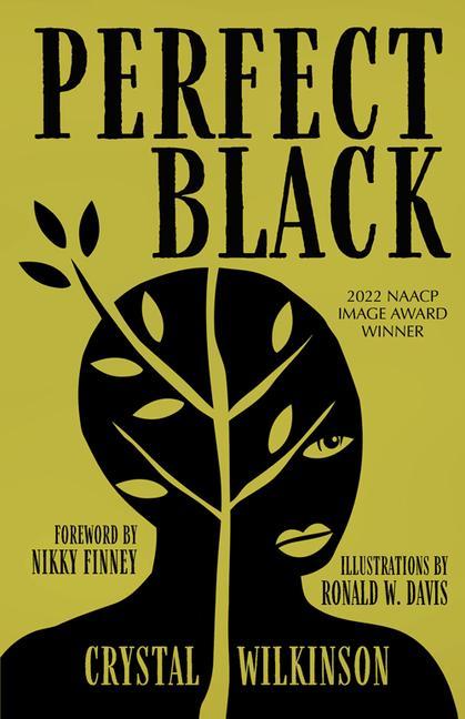Buch Perfect Black Nikky Finney