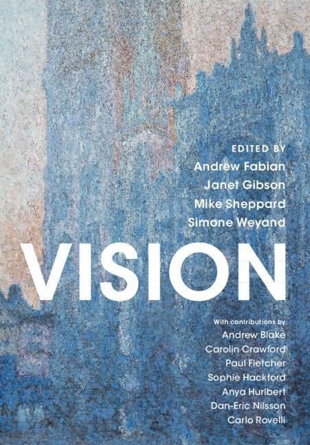 Book Vision Janet Gibson
