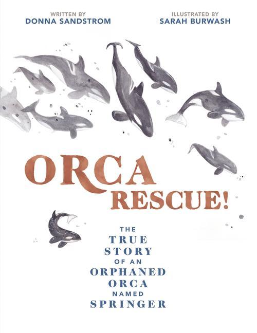 Kniha Orca Rescue! Sarah Burwash