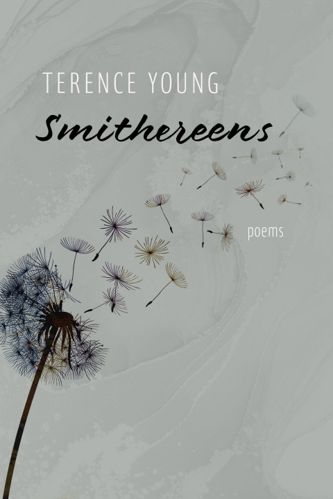 Book Smithereens Terence Young