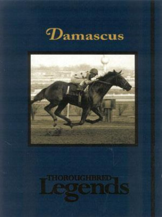 Book Damascus Lucy Heckman
