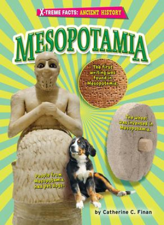 Knjiga Mesopotamia Catherine C. Finan
