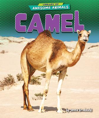 Kniha Camel Jenna Grodzicki
