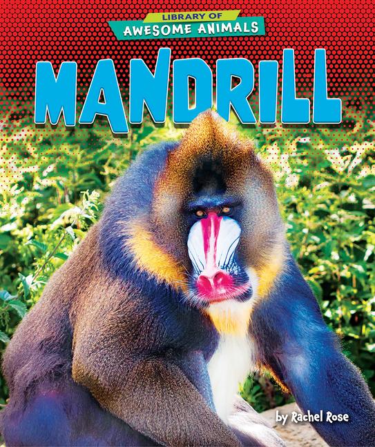 Book Mandrill Rachel Rose