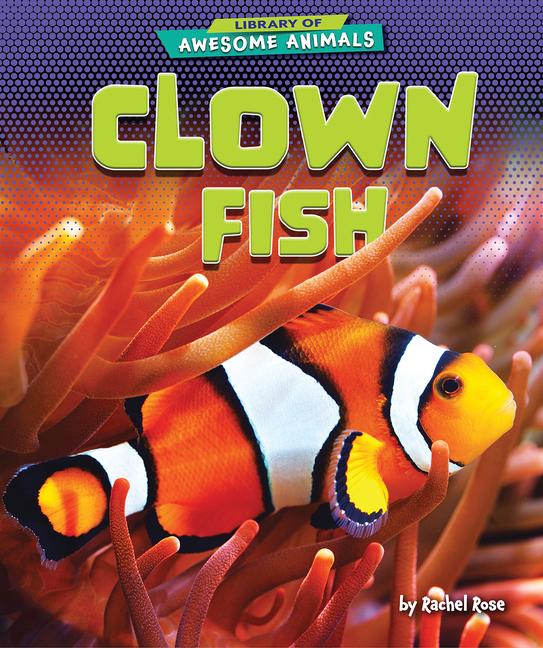 Knjiga Clown Fish Rachel Rose