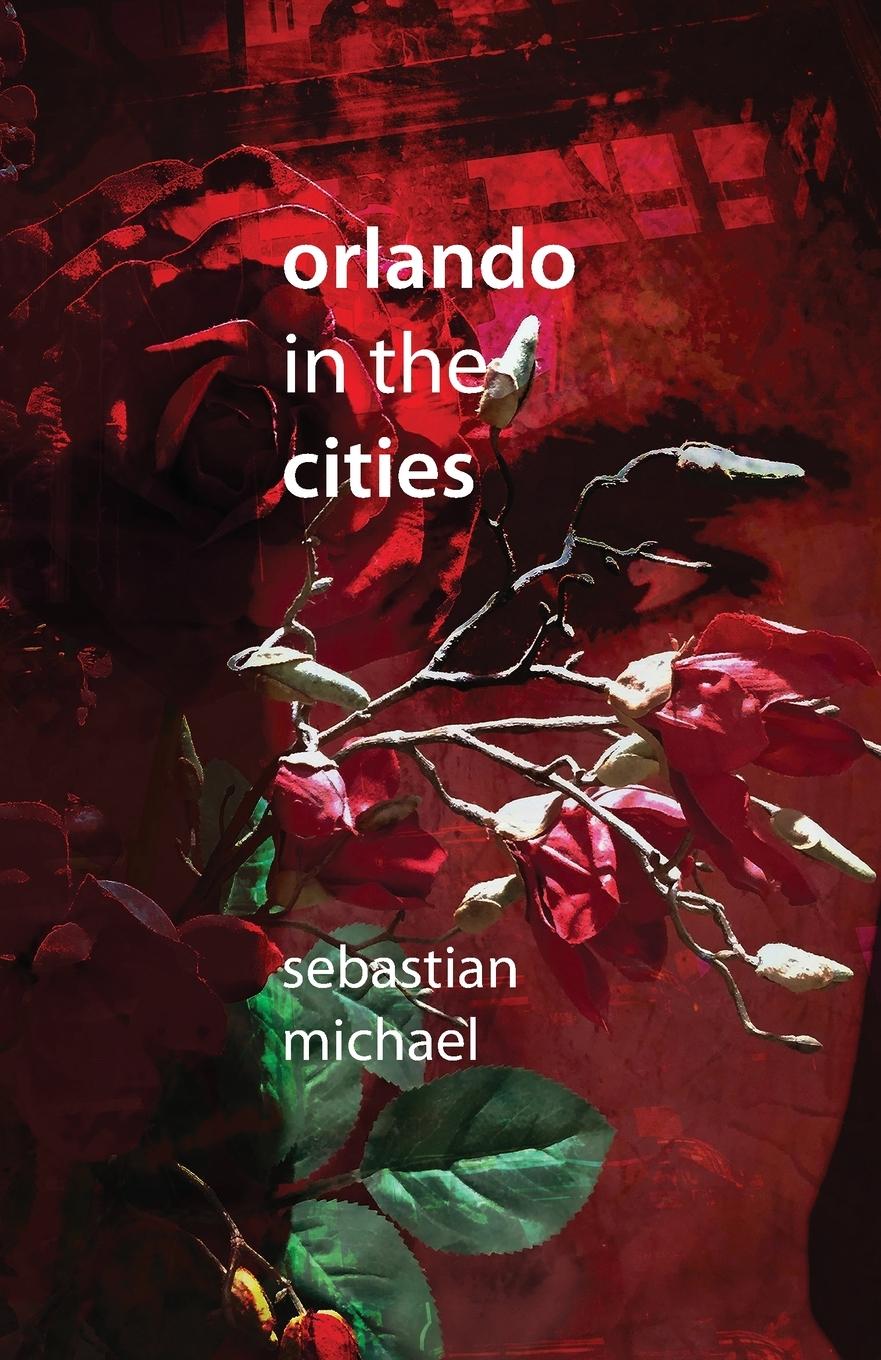 Boek Orlando in the Cities Sebastian Michael