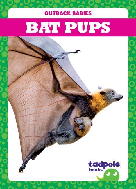 Knjiga Bat Pups 
