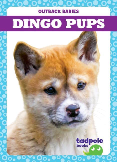 Книга Dingo Pups 