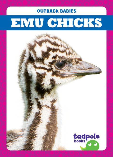 Kniha Emu Chicks 