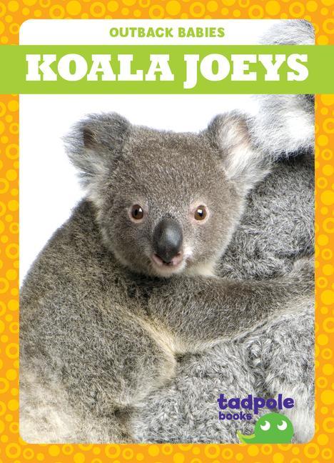 Könyv Koala Joeys 