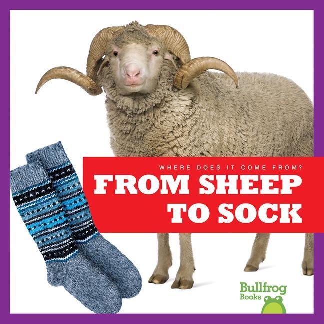 Knjiga From Sheep to Sock Avery Toolen