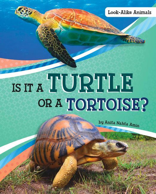 Knjiga Is It a Turtle or a Tortoise? Anita Nahta Amin