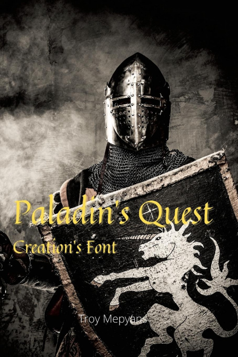 Buch Paladin's Quest Troy Mepyans