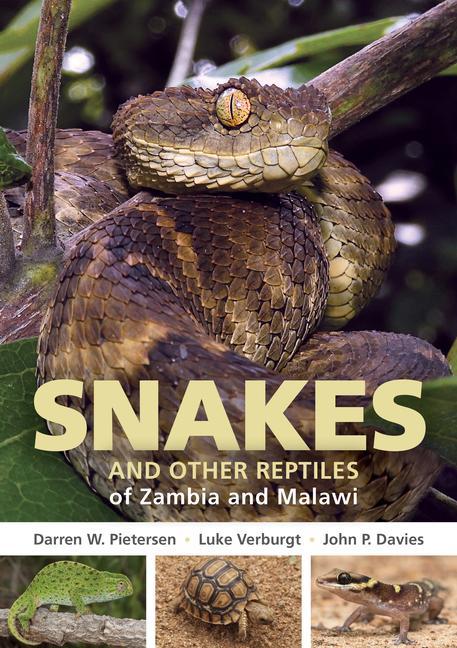 Książka Field Guide to Snakes and other Reptiles of Zambia and Malawi Luke Verburgt