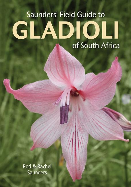Kniha Saunders' Field Guide to Gladioli of South Africa Rachel Saunders