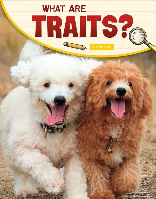 Carte What Are Traits? Sohn