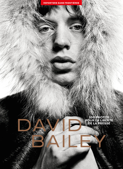 Kniha 100 Photos de David Bailey pour la liberté de la presse David Bailey