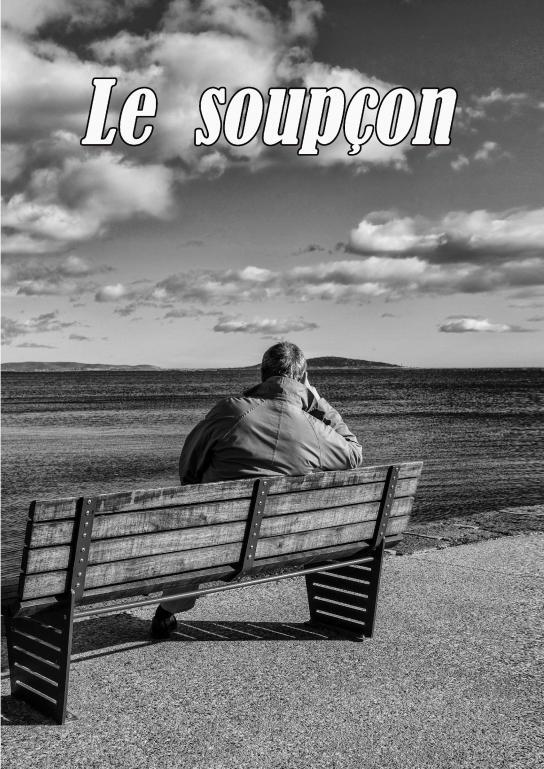 Kniha Le Soupçon Bull