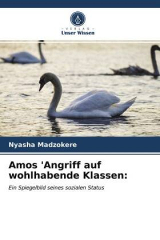 Knjiga Amos 'Angriff auf wohlhabende Klassen Madzokere Nyasha Madzokere