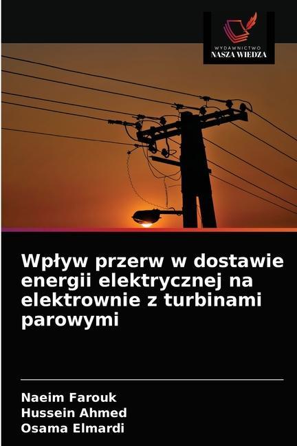 Kniha Wplyw przerw w dostawie energii elektrycznej na elektrownie z turbinami parowymi Hussein Ahmed
