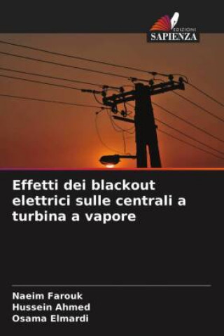 Kniha Effetti dei blackout elettrici sulle centrali a turbina a vapore Hussein Ahmed
