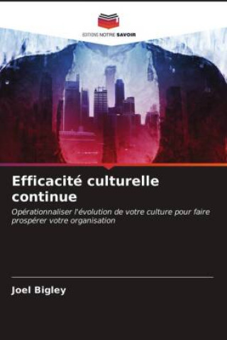 Knjiga Efficacite culturelle continue Joel Bigley