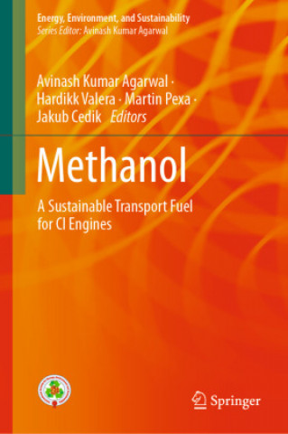 Книга Methanol Hardikk Valera