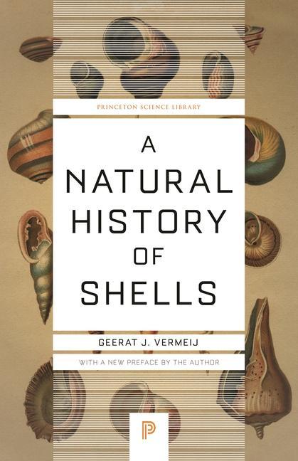 Carte Natural History of Shells Geerat J. Vermeij
