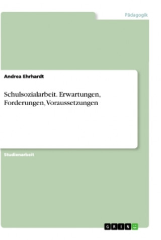 Książka Schulsozialarbeit. Erwartungen, Forderungen, Voraussetzungen 