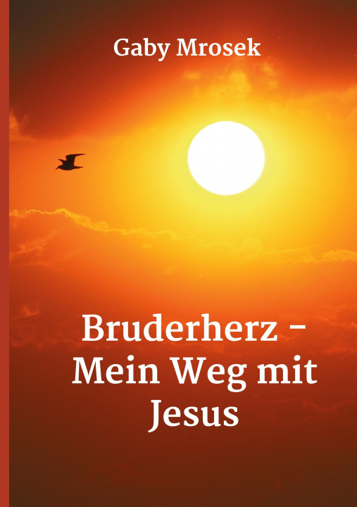 Knjiga Bruderherz - Mein Weg mit Jesus Gaby Mrosek