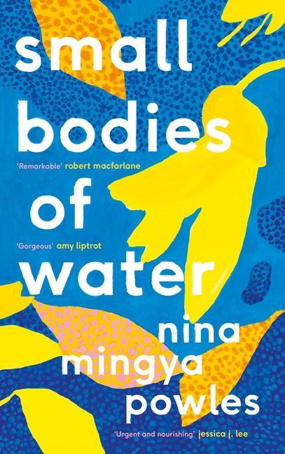 Книга Small Bodies of Water 