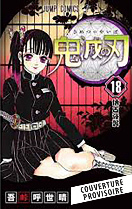 Kniha Demon Slayer T18 Koyoharu Gotouge