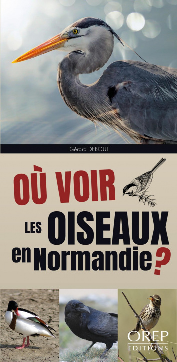 Könyv Où voir les oiseaux en Normandie DEBOUT
