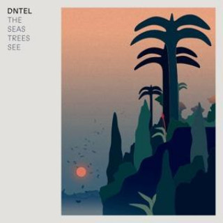 Audio The Seas Trees See Dntel