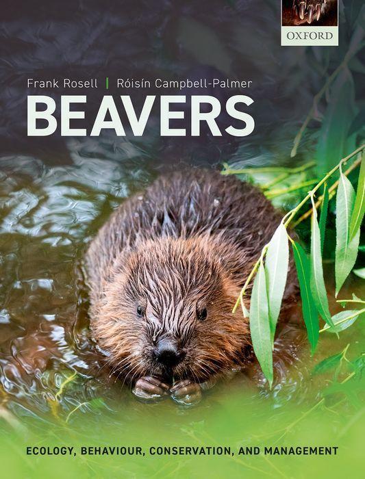 Könyv Beavers 