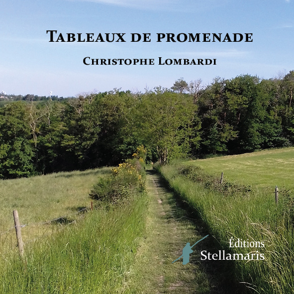 Buch Tableaux de promenade Lombardi