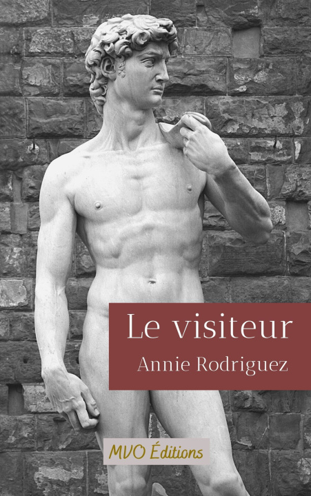 Book Le Visiteur Rodriguez