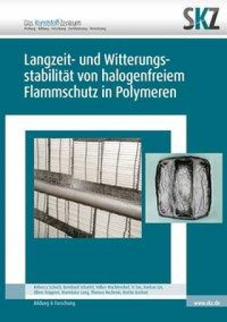 Kniha Langzeit- und Witterungsstabilität von halogenfreiem Flammschutz in Polymeren 