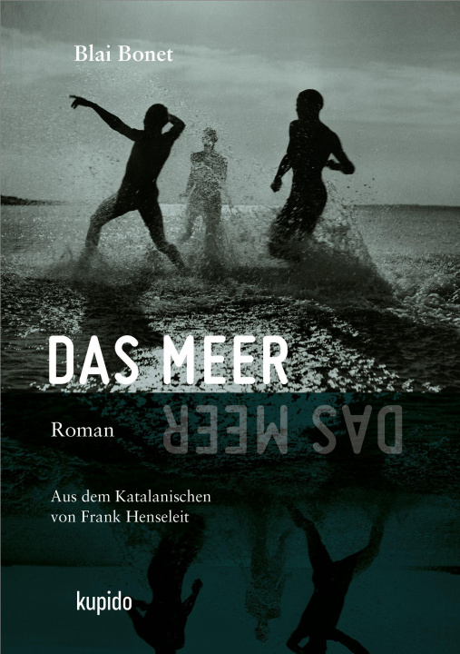 Boek Das Meer Frank Henseleit