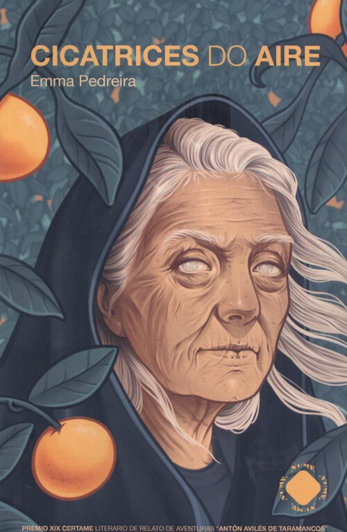 Βιβλίο Cicatrices do aire EMMA PEDREIRA