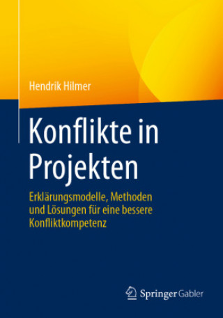 Carte Konflikte in Projekten Hendrik Hilmer
